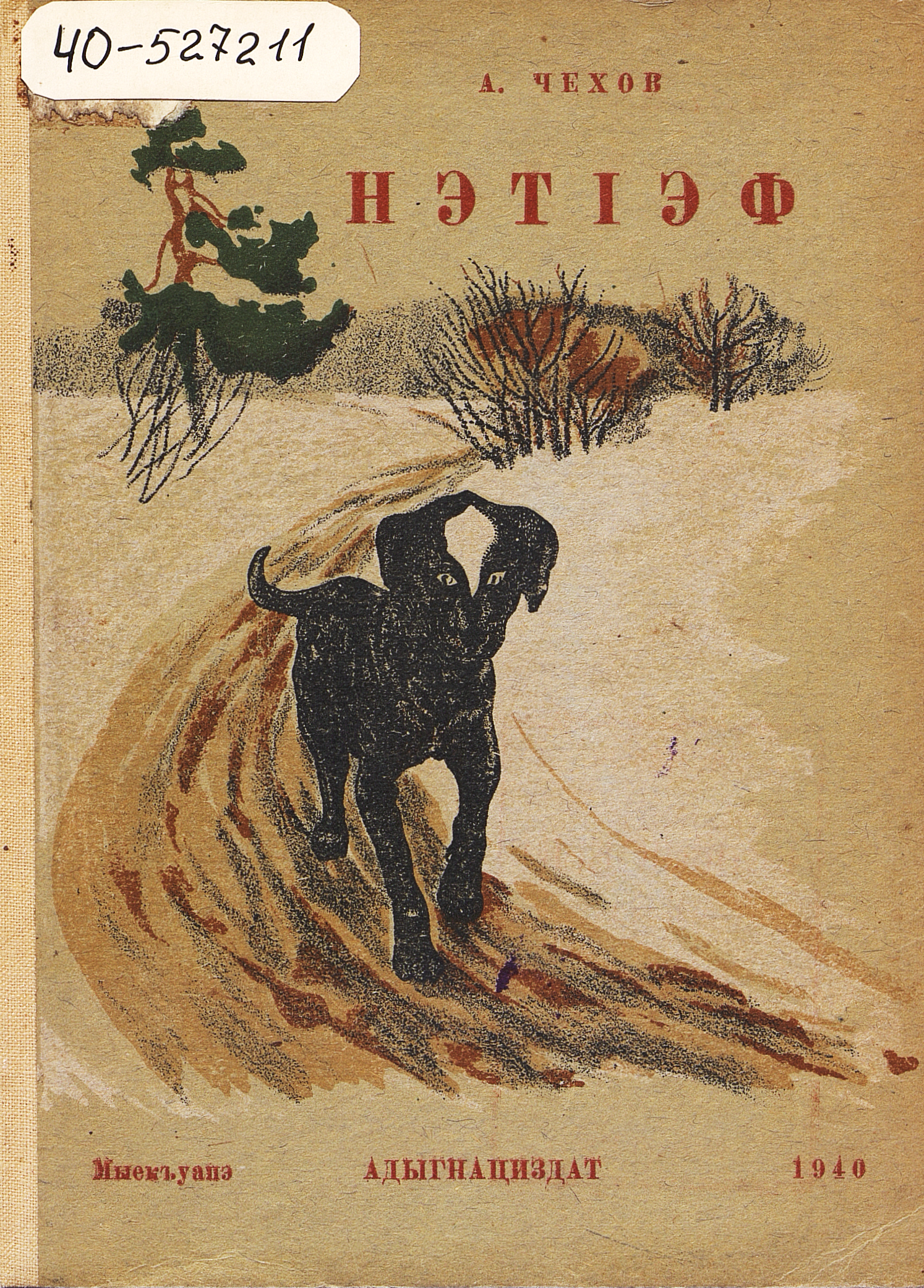 Белолобый