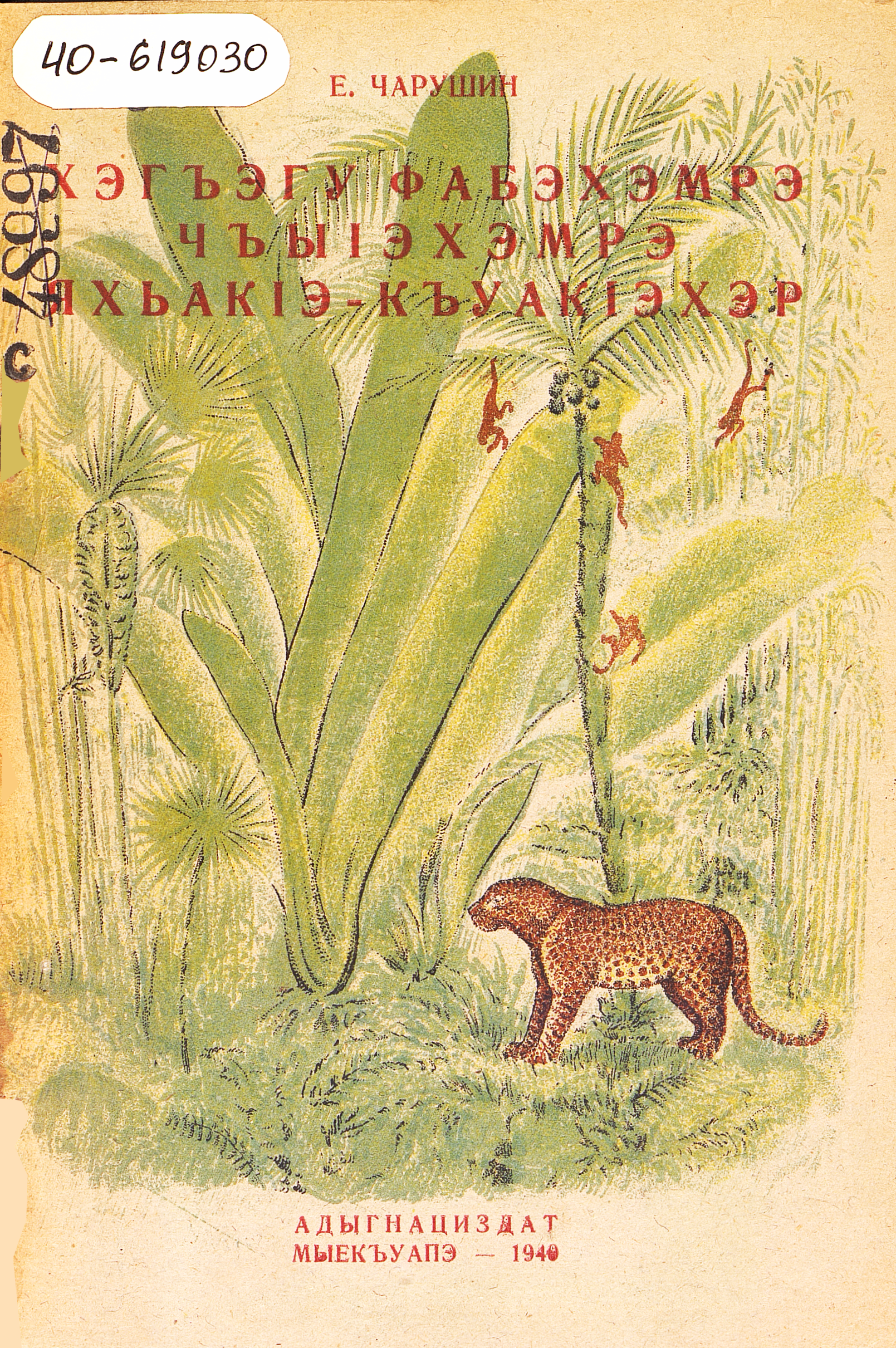 Звери жарких и холодных стран