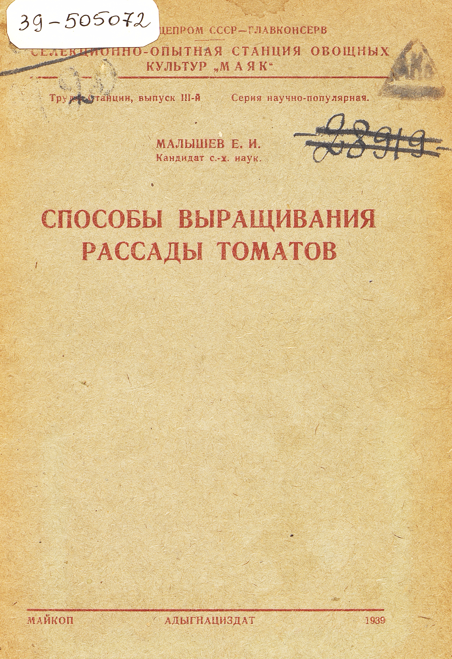 Способы выращивания рассады томатов
